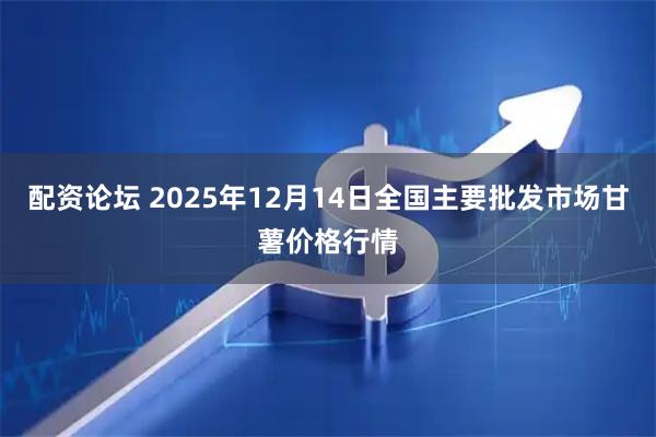 配资论坛 2025年12月14日全国主要批发市场甘薯价格行情
